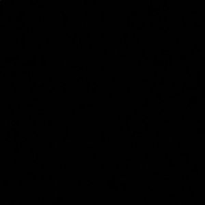 Meet your Posher, Karely